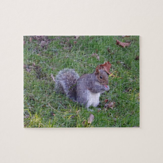 Squirrel Jigsaw Puzzle (Horizontal)