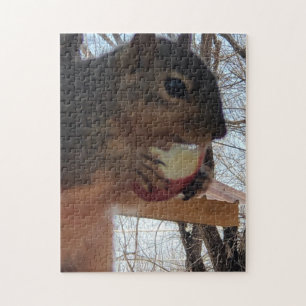 Squirrel jigsaw puzzle