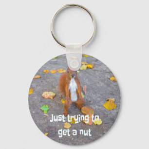 squirrel Just trying to get a nut Keychain