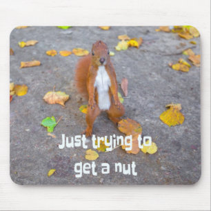 squirrel Just trying to get a nut Mouse Pad