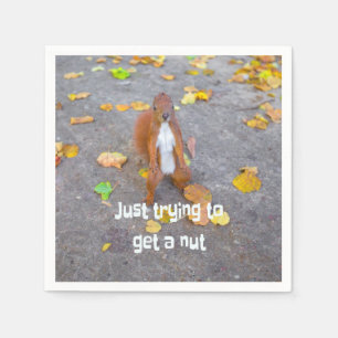 squirrel Just trying to get a nut Napkin