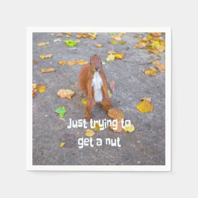 squirrel Just trying to get a nut Napkin (Front)
