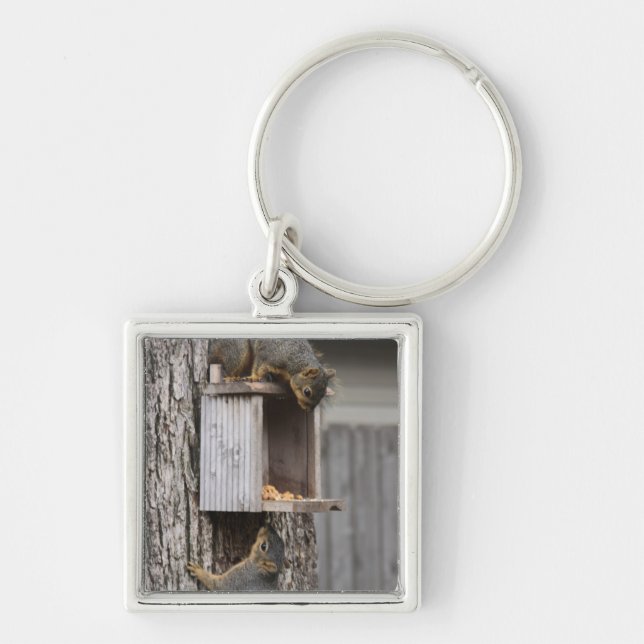 Squirrel Key Chain (Front)