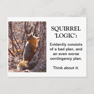 Squirrel Logic Postcard