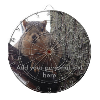 Squirrel looking at your dart board