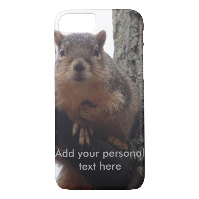 Squirrel looking at your phone case (Back)