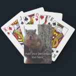 Squirrel looking at your playing cards<br><div class="desc">This squirrel is looking at me and I can't escape :-D Now you can play with him on playing cards. If you are thinking about making a purchase make sure to bookmark this page in your browser so you can come back to it in the future. Also, share this item...</div>