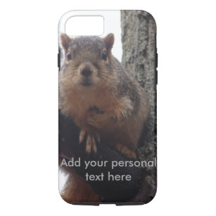Squirrel looking at your tough phone case