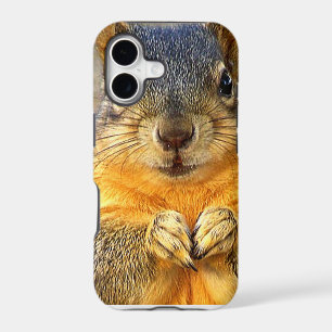 Squirrel Love_