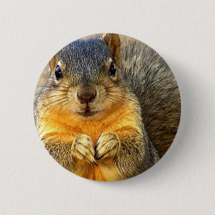 Squirrel Love_ 2 Inch Round Button