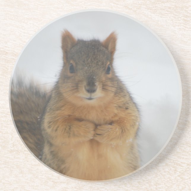 Squirrel Love Coaster (Front)