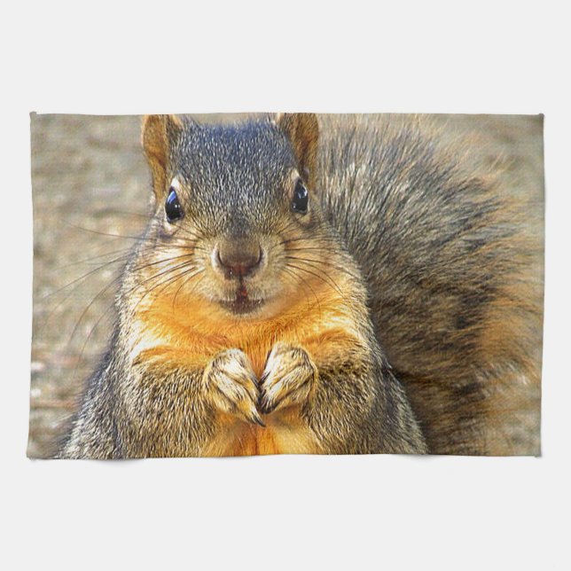 Squirrel Love_ Kitchen Towel (Horizontal)