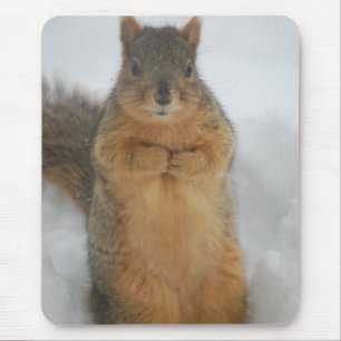 Squirrel Love Mouse Pad