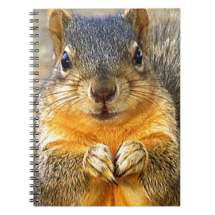 Squirrel Love_ Notebook