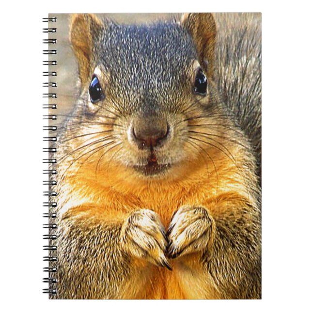 Squirrel Love_ Notebook (Front)