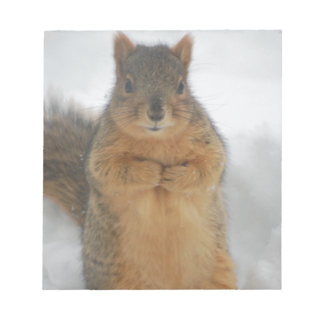 Squirrel Love Notepad (Front)