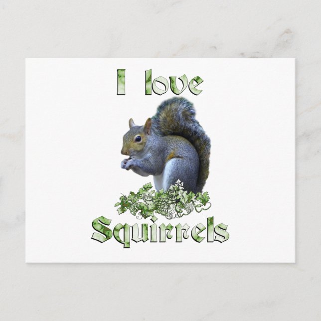 Squirrel Love Postcard (Front)