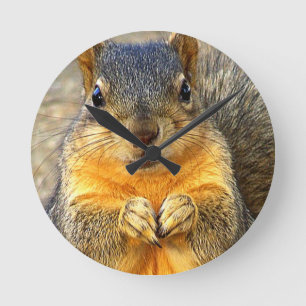 Squirrel Love_ Round Clock