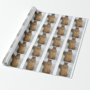 Squirrel Love Wrapping Paper