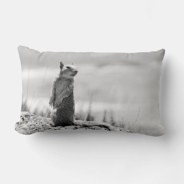 Squirrel Lumbar Pillow (Front)