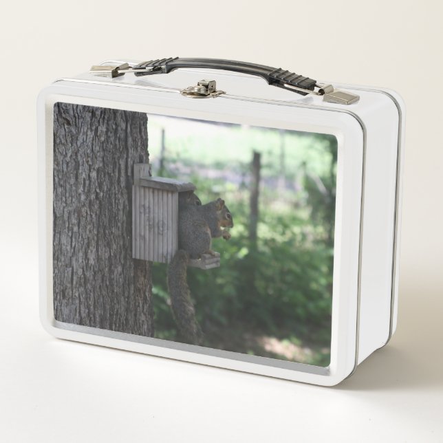 Squirrel Lunch Box (Front)