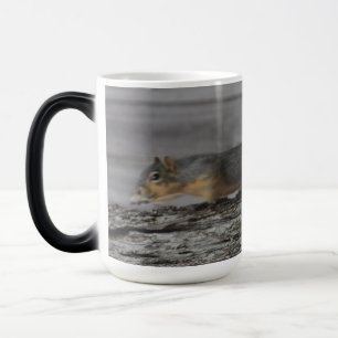 Squirrel magic mug