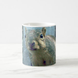 Squirrel Magic Mug