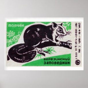 Squirrel - Matchbox Print - Aesthetic Wall Art