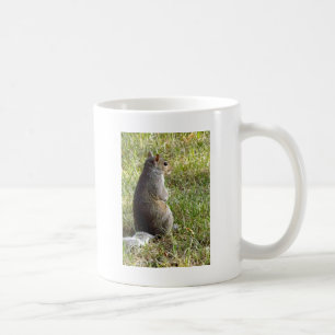 Squirrel Meditations Coffee Mug
