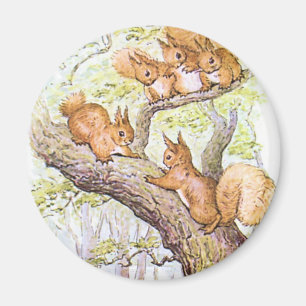 Squirrel Meeting Magnet