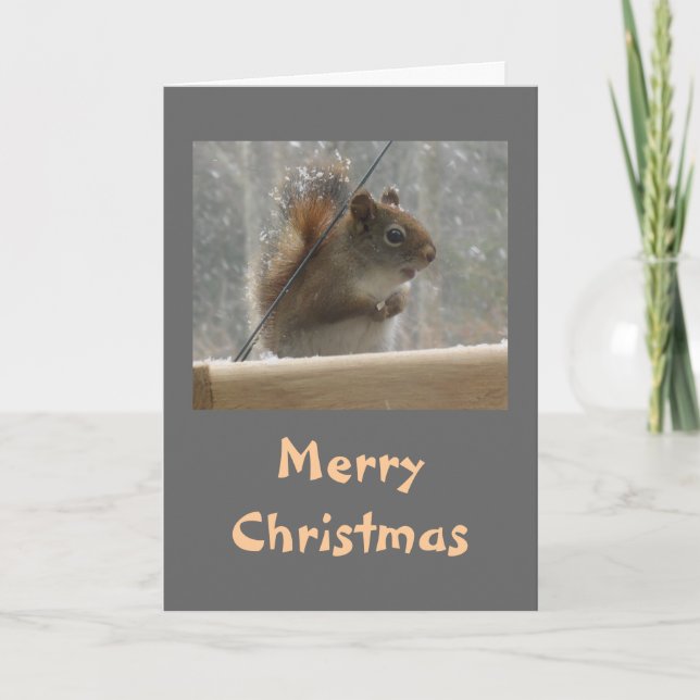 Squirrel Merry Christmas Holiday Card (Front)