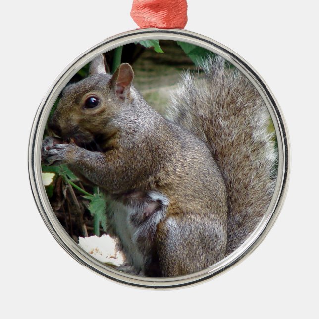 Squirrel Metal Ornament (Front)