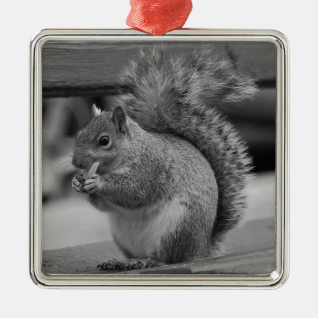 Squirrel Metal Ornament (Front)