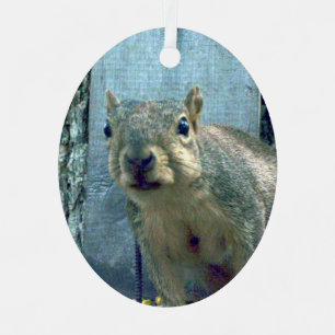Squirrel Metal Ornament