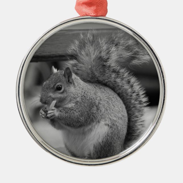 Squirrel Metal Ornament (Front)
