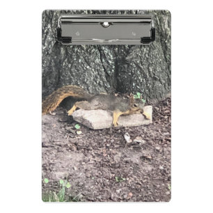 Squirrel Mini Clipboard