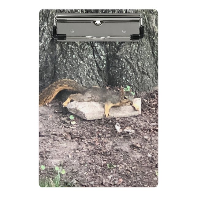 Squirrel Mini Clipboard (Front)