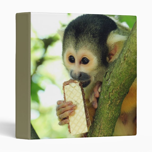Squirrel Monkey Eating a Wafer Biscuit Binder (Front/Spine)