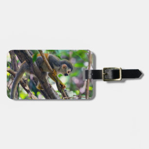 Squirrel monkey in Manuel Antonio NP - Costa Rica Luggage Tag