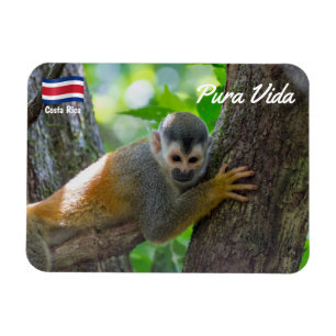 Squirrel monkey in Manuel Antonio NP - Costa Rica Magnet