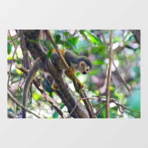 Squirrel monkey in Manuel Antonio NP - Costa Rica Window Cling