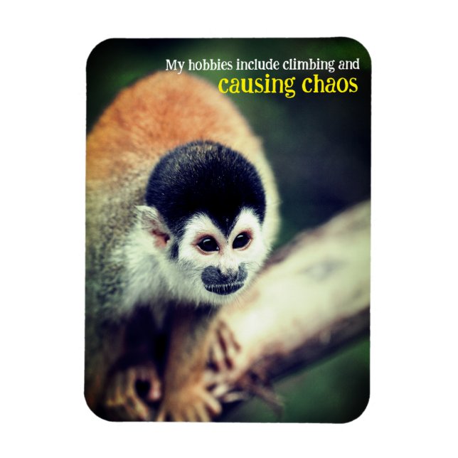 Squirrel monkey in tree magnet (Vertical)