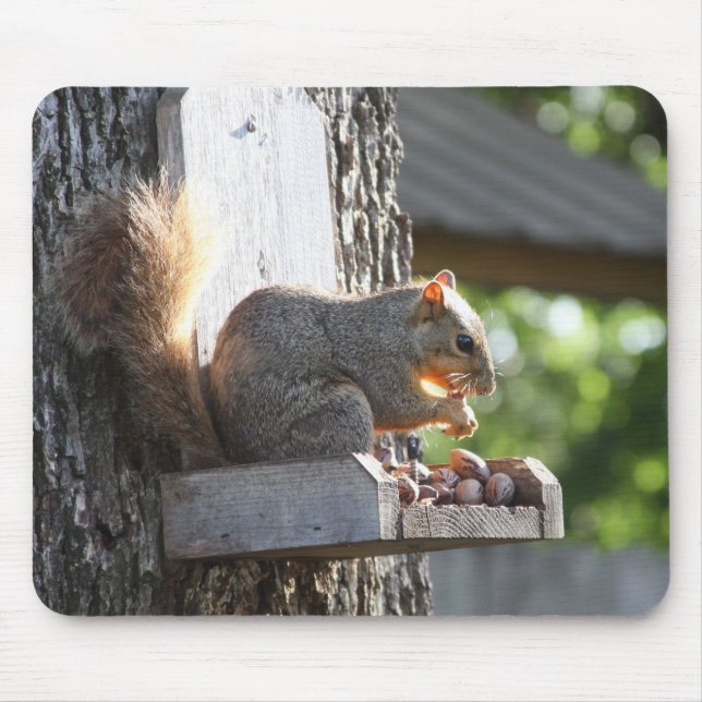 Squirrel Mouse Pad (Front)
