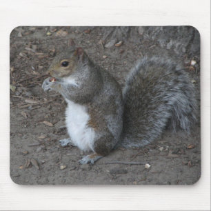 Squirrel Mouse Pad