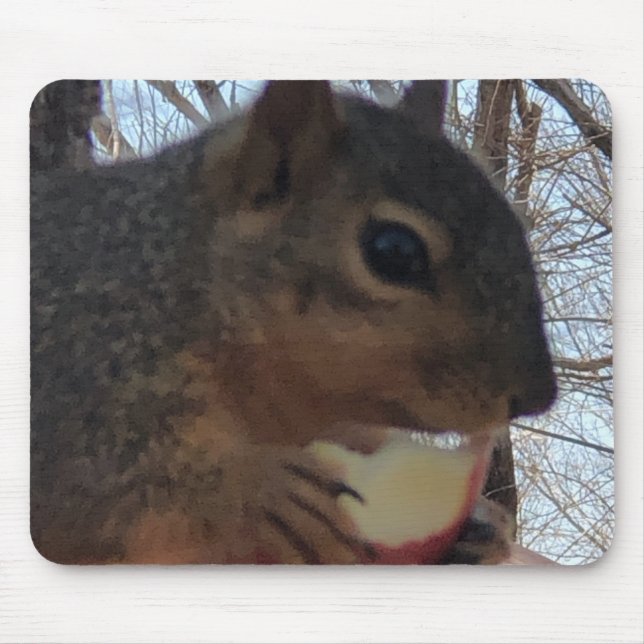Squirrel  mouse pad (Front)