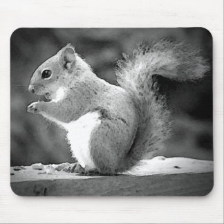 Squirrel Mouse Pad