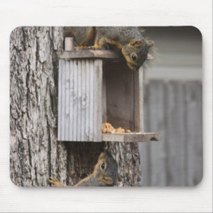 Squirrel Mouse Pad