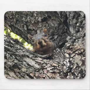 Squirrel Mouse Pad