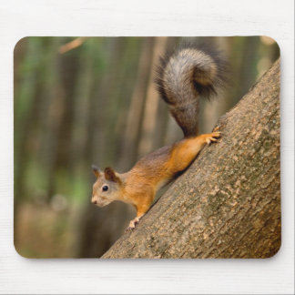 Squirrel Mouse Pad