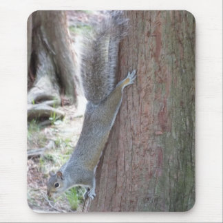 Squirrel Mouse pad
